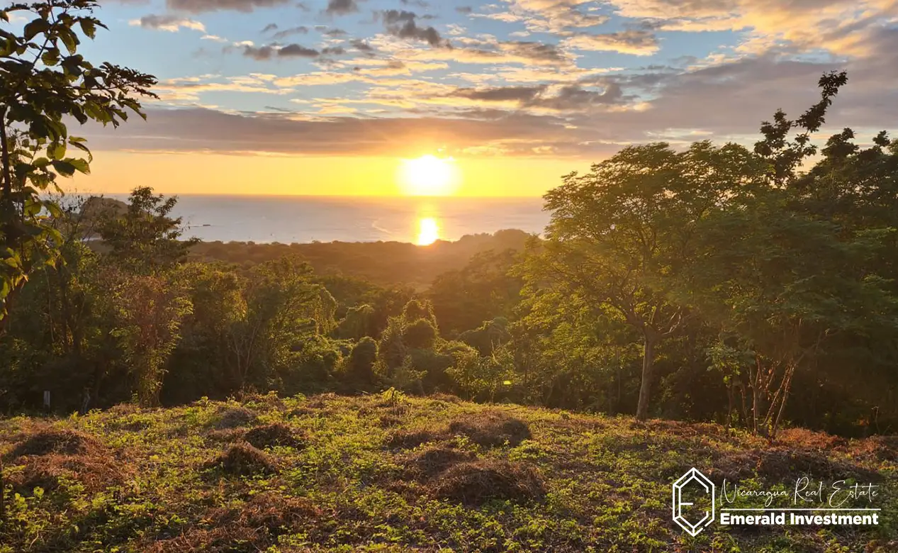Half-Acre-Oceanview-Lot-for-Sale-in-Playa-Gigante