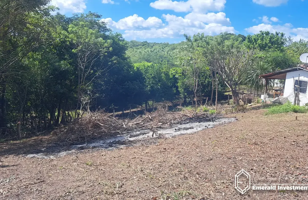 Walk to Beach Jungle Land for Sale in Tola 20
