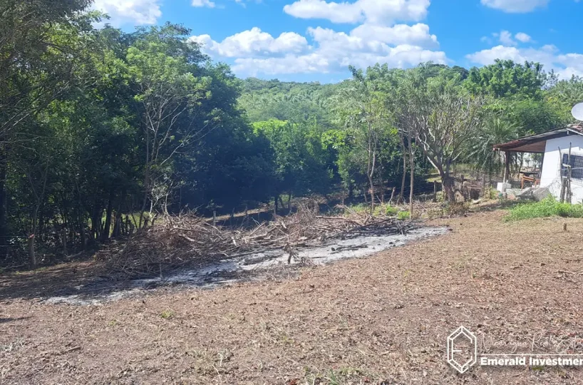 Walk to Beach Jungle Land for Sale in Tola 20